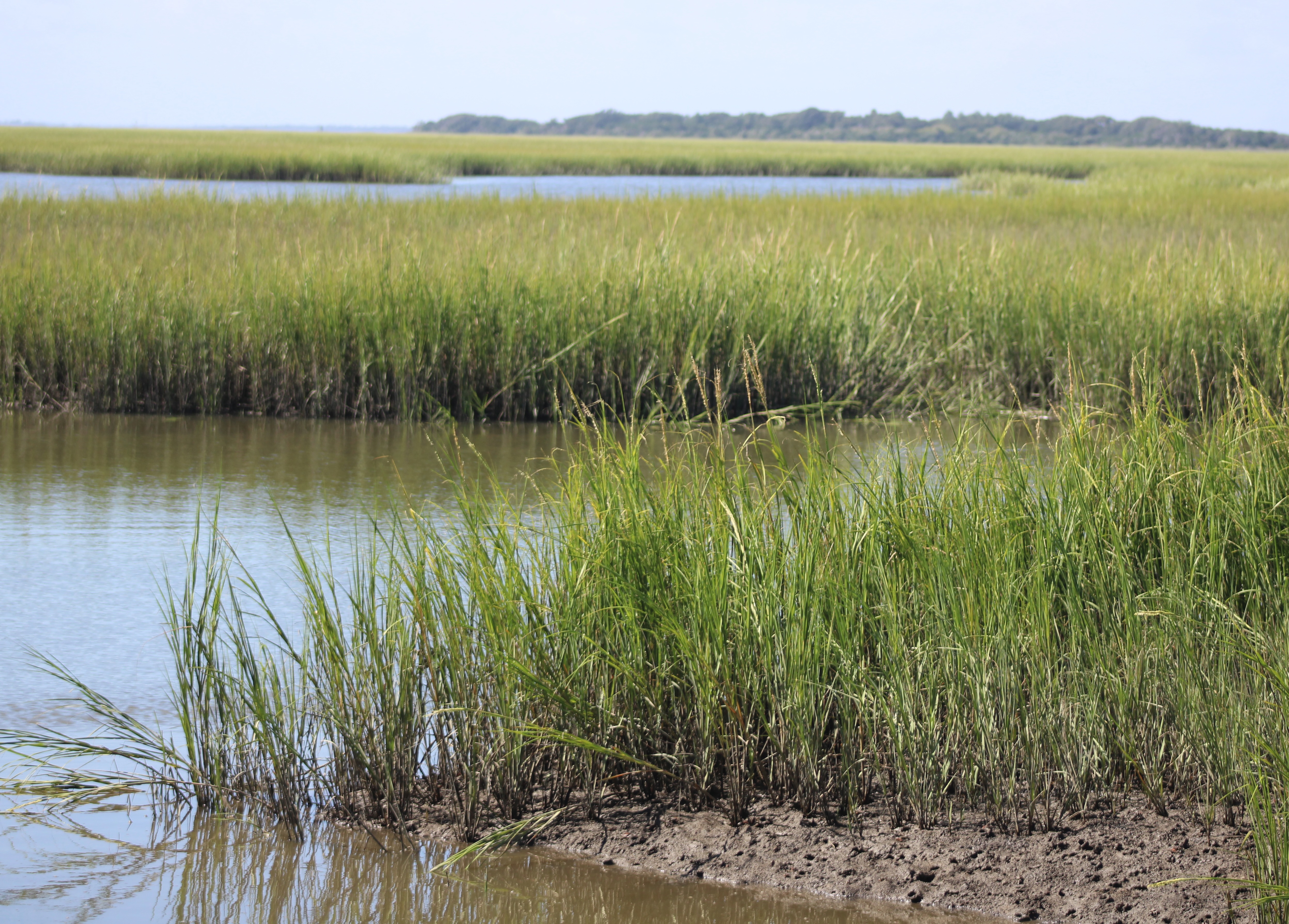 The National Park Service is seeking public comment on two potential land swaps between private landowners and the federal agency.