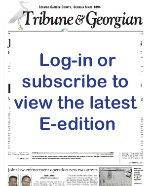 https://webpay.ilsw.com/tribune-georgian/auth/login