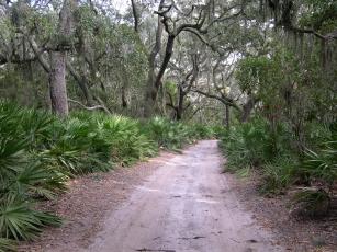 Cumberland Island