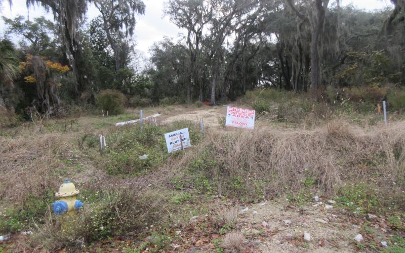 Amelia Bluff LLC was fined after it was discovered trees on the construction site that were protected by Fernandina Beach ordinances were removed. A mitigation plan has been submitted to the city by the developer. JULIA ROBERTS/NEWS-LEADER