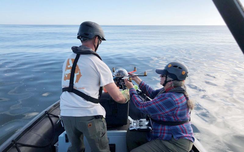 Florida Fish and Wildlife Conservation Commission photo