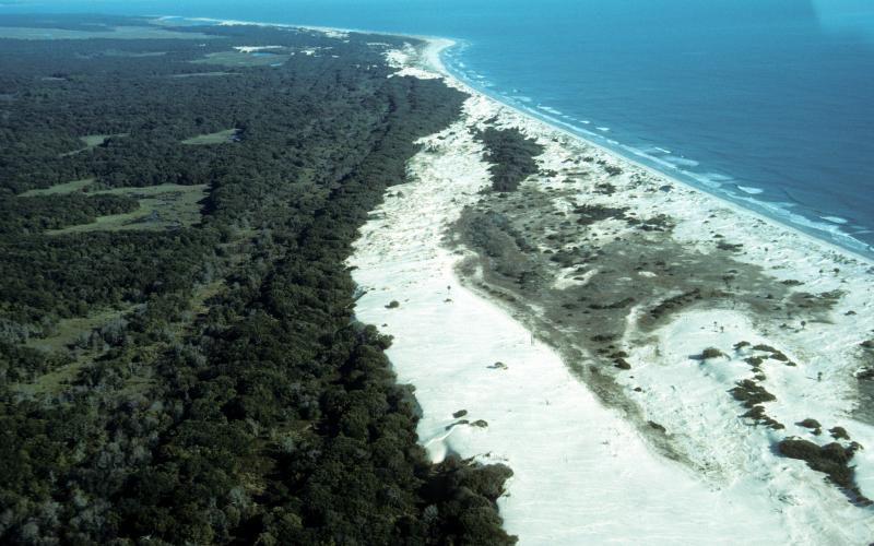 Aerial view of Cumberland Island