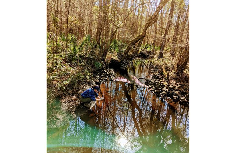 Anna Laws and other Riverkeeper volunteers take water samples at more than 45 sites each month, including this one at Horsepen Creek. (Photo by Kendra Shafer)