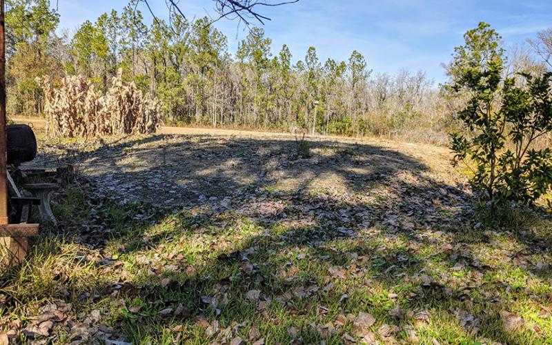 Septic systems at more than 30 homes along Horsepen Creek have been pumped out or replaced, like this new septic hill. (Photo by Kendra Shafer)