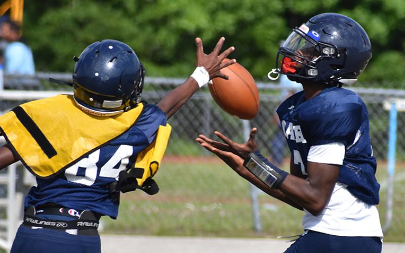 Elijah Richardson hauls in a pass with Jonathan Brown defending. (Andy Diffenderfer, Tribune &amp; Georgian)