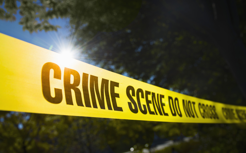 The Camden County Sheriff's Office is investigating a dead body found in Woodbine.