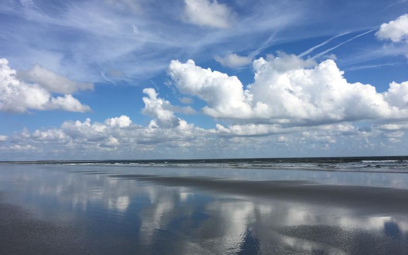 The National Park Service is seeking public input on Cumberland Island National Seashore’s Visitor Use Management Plan.