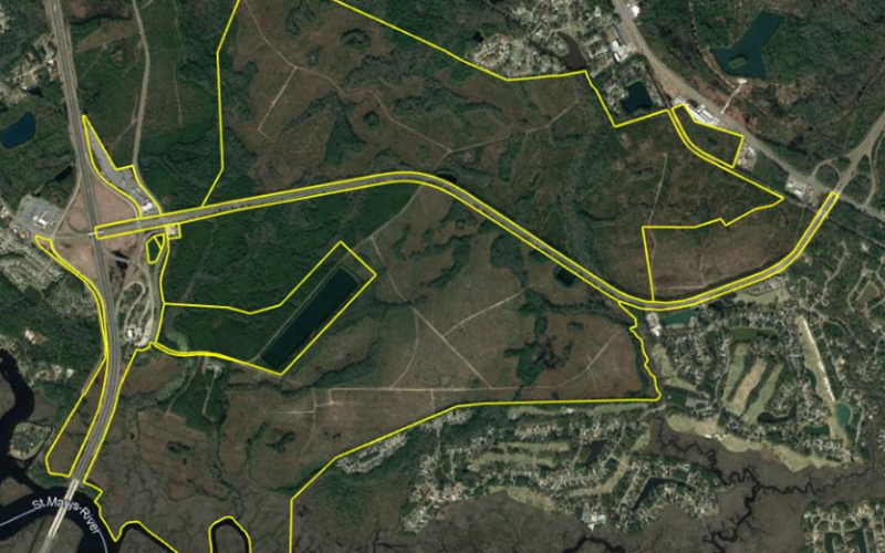 Raydient, the real-estate arm of timber company Rayonier, wants to develop more than 1,800 acres near I-95. The city of St. Marys is considering annexing the property into the city.