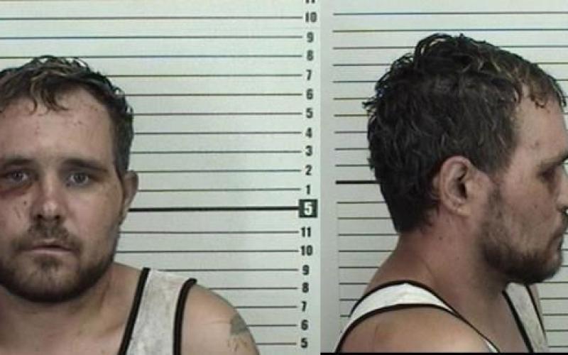 Travis Tolvo Walls