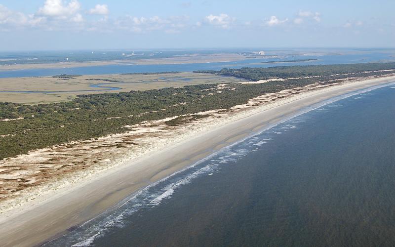 Cumberland Island National Seashore