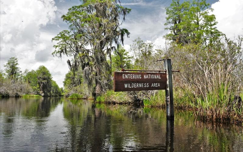 Two bills that could further protect the Okefenokee Swamp remain in a subcommittee after two hours of testimony earlier this week.