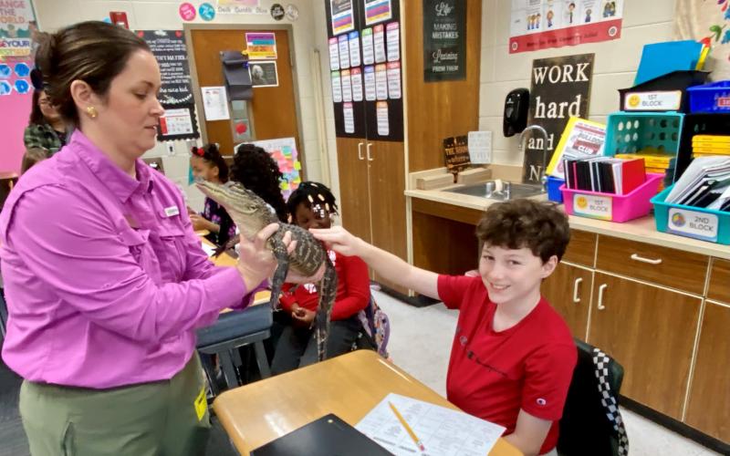 Mamie Lou Gross Elementary School fifth-graders recently encountered animals, including a live gator, during a visit from the Okefenokee Swamp Park Outreach Program.