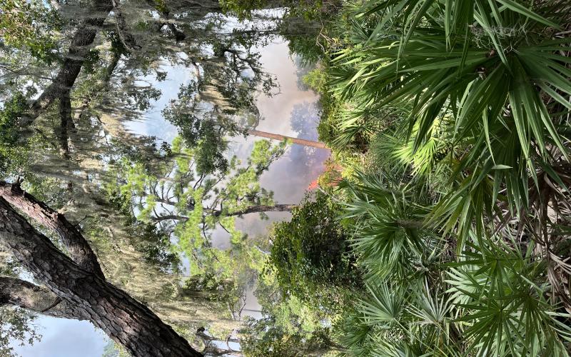 The National Park Service says a wildfire on Cumberland Island is contained to about 10 acres, and no park or private infrastructure is threatened by the blaze. (National Park Service)