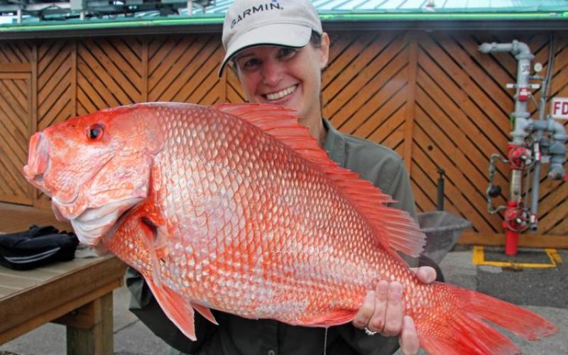 Four Southeastern states, including Georgia, added their influence to the battle over red snapper access in South Atlantic federal waters in an attempt to give anglers and commercial fishers the same access as those in the Gulf of Mexico. They followed up a letter sent earlier this year to the Commerce Department with an action plan of how to get their plans accomplished.