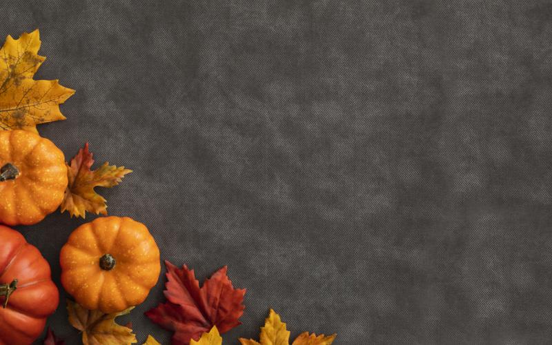 Happy Thanksgiving!