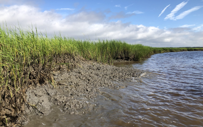 Coastal issues like degraded marsh at Cumberland Island National Seashore will be the focal point of a restoration project plan being developed by researches from the University of Georgia and Georgia Tech.