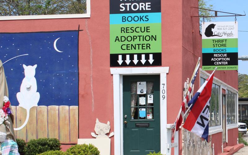Cats Angel Inc. SPCA is facing a civil lawsuit after a family claimed a donation was conditioned upon receiving a board of directors position.