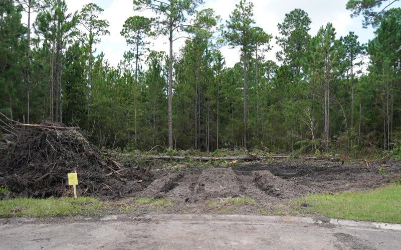 A developer and the neighbors of this land in Flora Parke have very different ideas of what should be done with it. GARY D. MORGAN/FOR THE NEWS-LEADER