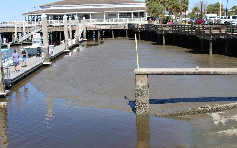 At low tide, there is little to no water in the southern basin of the Fernandina Harbor Marina. Grants administrator Lorelei Jacobs is working to fund dredging through a grant from the Florida Inland Navigation District.