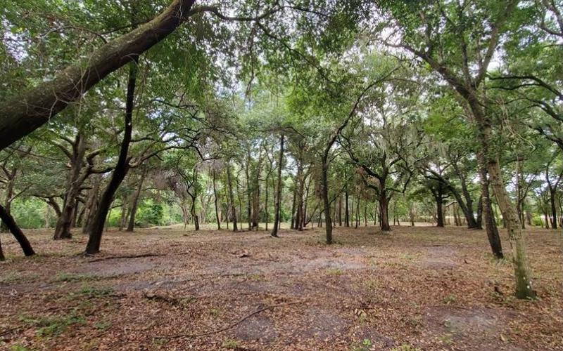 The city of Fernandina Beach, with North Florida Land Trust’s help, recently purchased 5.25 acres of land near Egans Creek for preservation.