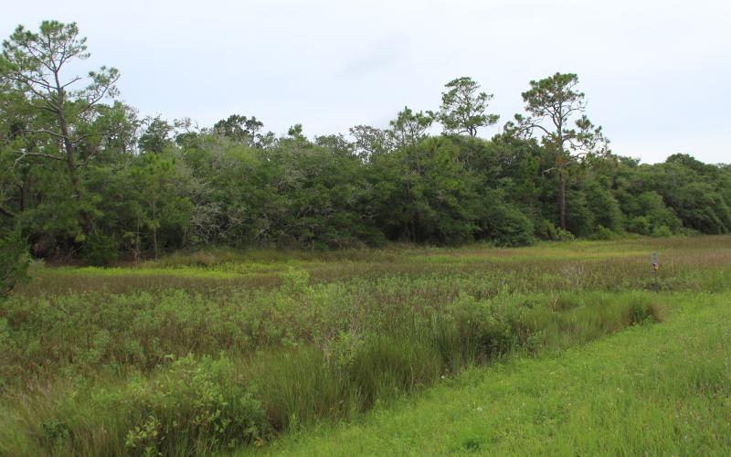Riverstone Property is the only large undeveloped property on unincorporated Amelia Island.