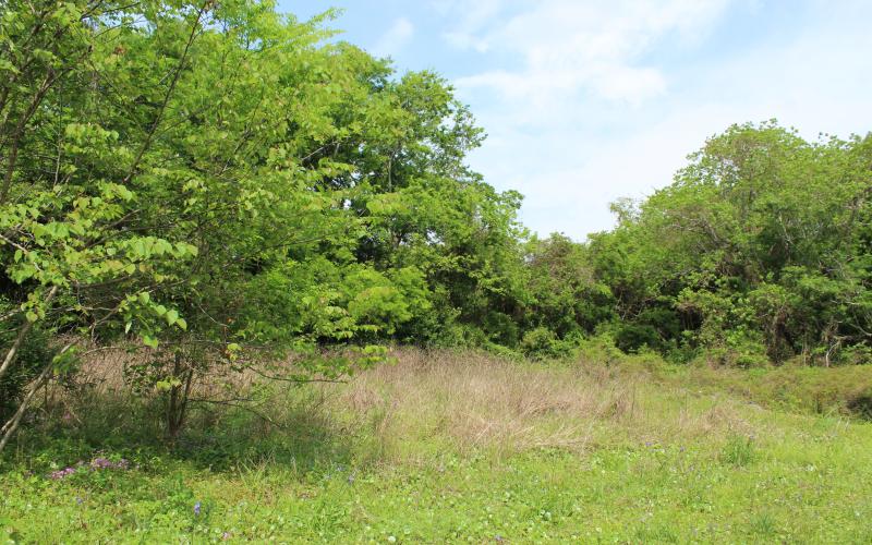 Developers are considering building a luxury RV park or a boutique hotel at 2195 Sadler Road in Fernandina Beach.