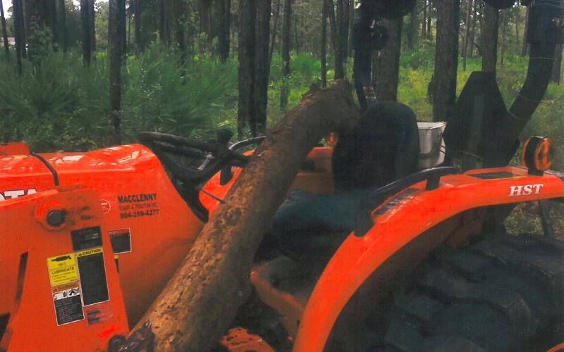 Callahan’s Bill Quaile had a scare recently when a tree fell on his front-end loader, injuring his right arm.