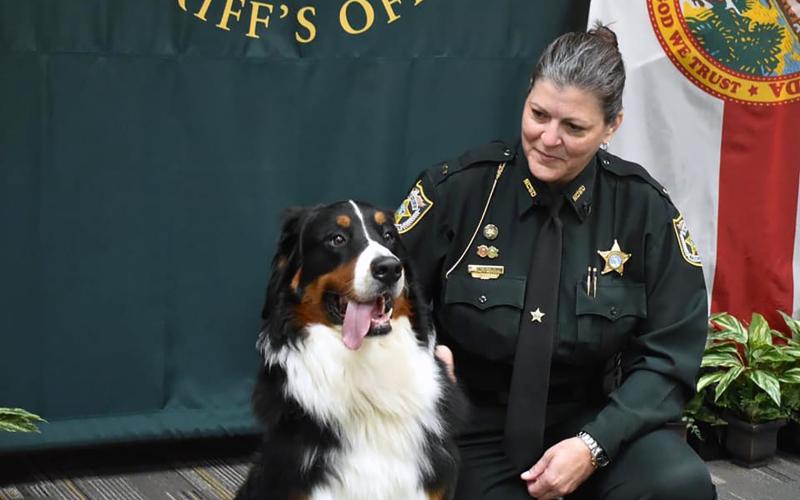The Nassau County Sheriff’s Office introduces its first comfort dog, Tank.