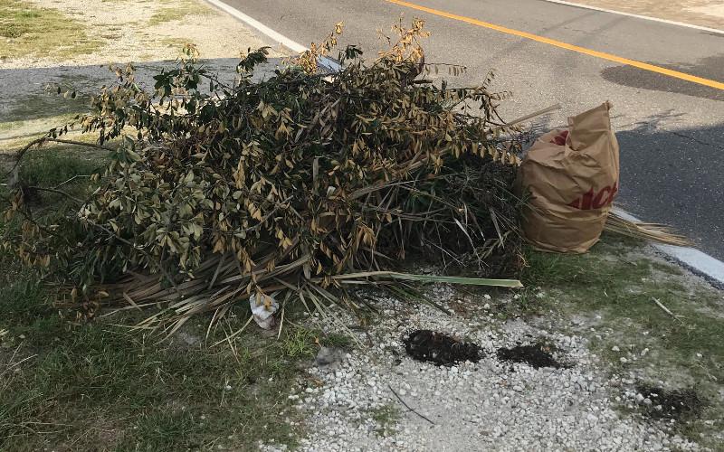 Advanced Disposal representatives told the Fernandina Beach City Commission that collection of yard waste is the “most frustrating” part of their job. The organic debris was previously mulched by the city, but the city has stopped that operation, forcing Advanced to make multiple trips on and off the island. This yard waste on North Fletcher Avenue was still waiting for removal after two weeks of being placed curbside. JULIA ROBERTS/NEWS-LEADER