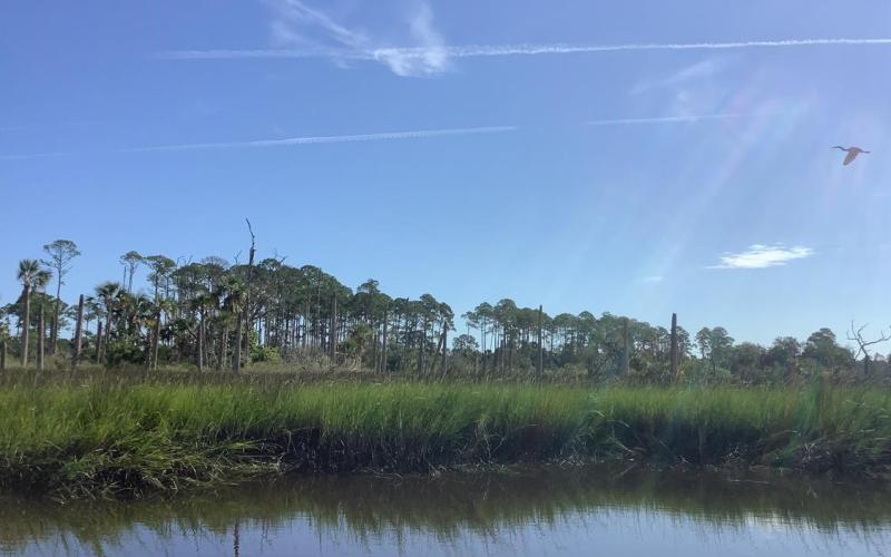 The North Florida Land Trust has joined the Southeast Regional Partnership for Planning and Sustainability to develop a plan to conserve and restore salt marsh along the South Atlantic Coast.