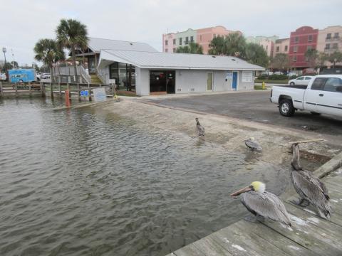 Fernandina Harbor Marina’s ramp