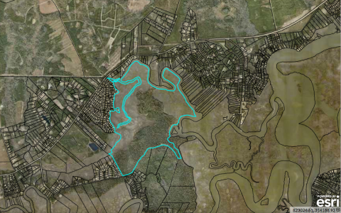 Aerial map showing Carter's property on Harrietts Bluff