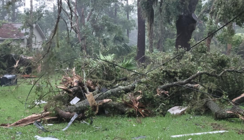 twisted trees and downed power lines