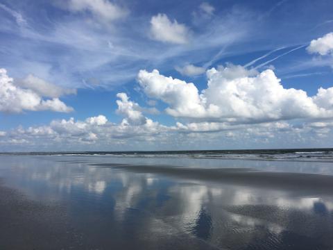 The National Park Service is seeking public input on Cumberland Island National Seashore’s Visitor Use Management Plan.