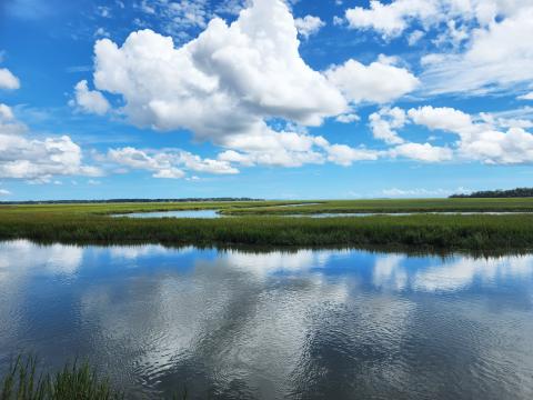 Georgia’s salt marshes are losing the battle against rising sea levels because the state’s coastal and foothill river systems aren’t providing enough sediment.