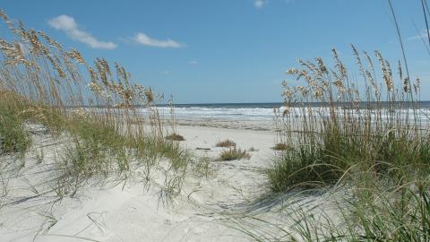 The National Park Service was awarded $8.7 million from Congress to add 173.7 acres to the  Cumberland Island National Seashore.