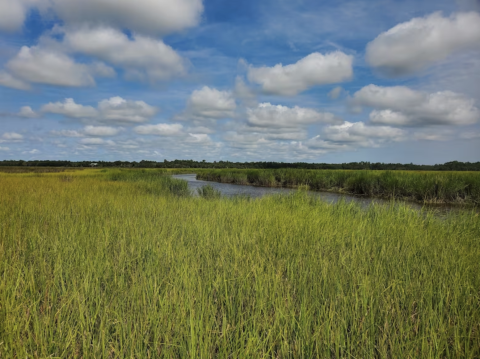 Thousands of acres of Georgia marshland could transfer to private hands under legislation considered by the state Legislature.