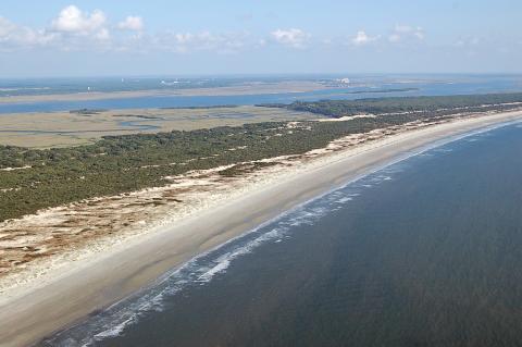 Cumberland Island National Seashore
