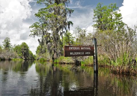 Two bills that could further protect the Okefenokee Swamp remain in a subcommittee after two hours of testimony earlier this week.