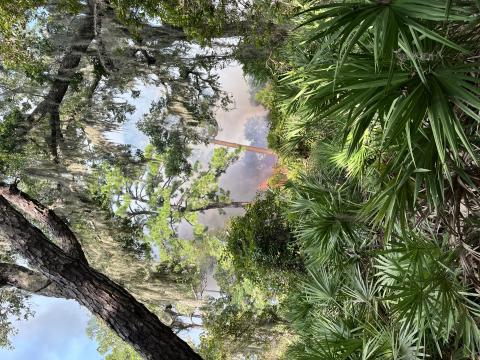The National Park Service says a wildfire on Cumberland Island is contained to about 10 acres, and no park or private infrastructure is threatened by the blaze. (National Park Service)