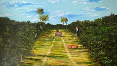 “Old Florida Orange Grove”