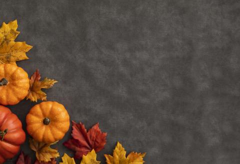 Happy Thanksgiving!