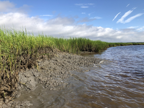 Coastal issues like degraded marsh at Cumberland Island National Seashore will be the focal point of a restoration project plan being developed by researches from the University of Georgia and Georgia Tech.