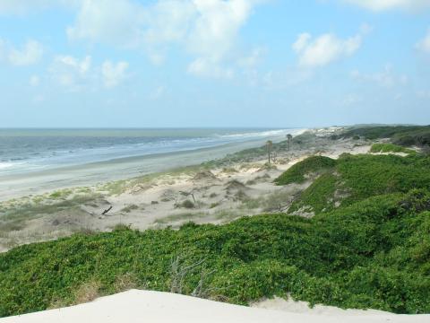 A newly released Visitor User Management Plan by the National Park Service increases the number of visitors allowed daily at Cumberland Island to 700, up from 300.