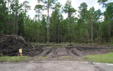 A developer and the neighbors of this land in Flora Parke have very different ideas of what should be done with it. GARY D. MORGAN/FOR THE NEWS-LEADER