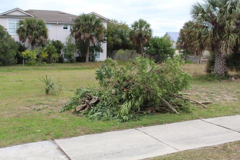 Yard waste such as this would not be picked up if Waste Management enforced the contract it has in place with the city of Fernandina Beach. Loose material would have to be bagged, and larger items would have to be bundled together. In order to save customers from having to bag and bundle or pay a $5.81 rate increase to Waste Management, the city is in the process of taking over that operation with a lower $3 hike in rates.