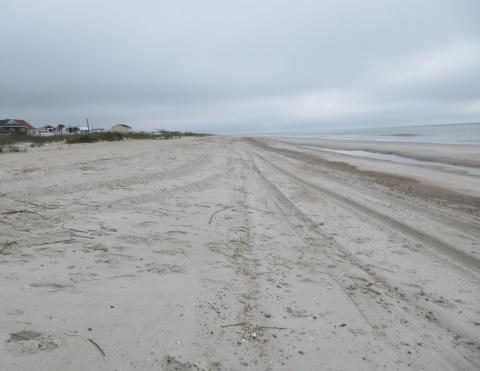 A rare sight – a deserted beach on Amelia Island – will remain the norm for at least the next few weeks. City and county officials believe beach closures have helped “flatten the curve” of the spread of the coronavirus. JULIA ROBERTS/NEWS-LEADER