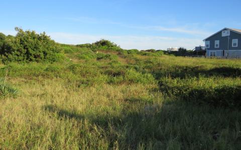 Two separate but adjoining hotels could be built on these two beachfront lots just north of Sliders Seaside Grill on South Fletcher Avenue. JULIA ROBERTS/NEWS-LEADER