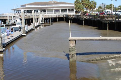 At low tide, there is little to no water in the southern basin of the Fernandina Harbor Marina. Grants administrator Lorelei Jacobs is working to fund dredging through a grant from the Florida Inland Navigation District.