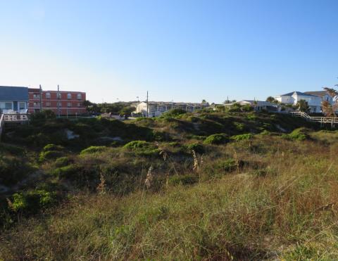 Conditional site approval was given by the city of Fernandina Beach in 2017 to construct two hotels on these two adjacent lots on the east side of South Fletcher Avenue north of Sadler Road, but that approval expired, requiring an appeal, which was granted by the city’s Board of Adjustment in October 2019. The developers will have to obtain Florida Department of Environmental Protection approval of the project to move forward. JULIA ROBERTS/NEWS-LEADER
